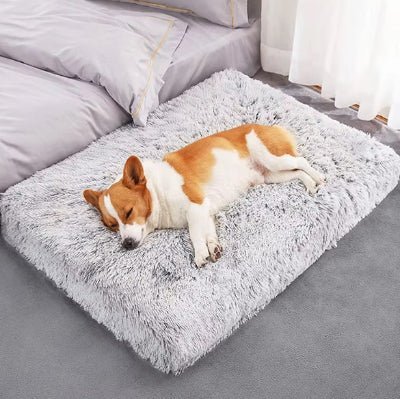 matelas pour chien orthomatcare corgi