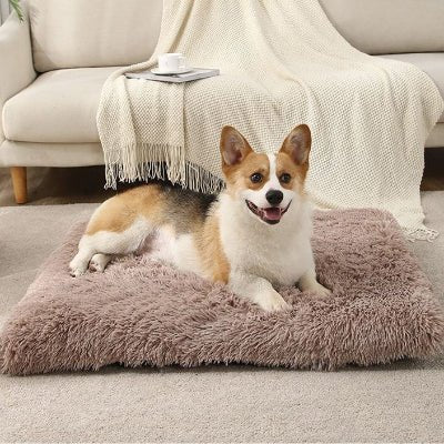 corgi matelas pour chien orthomatcare beige