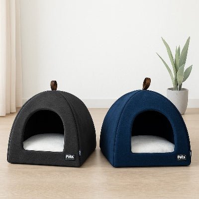 niche chien caverna bleu gris