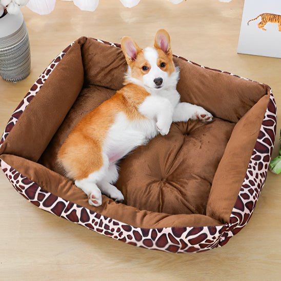 Panier chien - Chien Ravi
