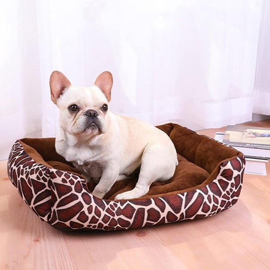 Panier chien - Chien Ravi