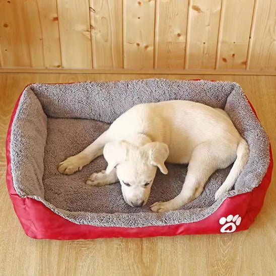 Panier chien - Chien Ravi
