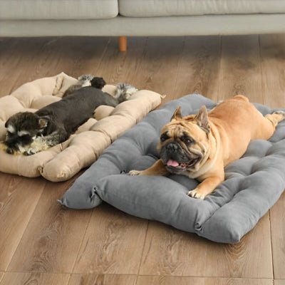 panier chien polyvalent version matelas