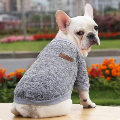 pull chien classique gris cool