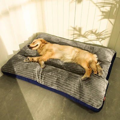 tapis chien velvetcarpet gris golden