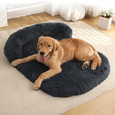 tapis pour chien luxueux labrador