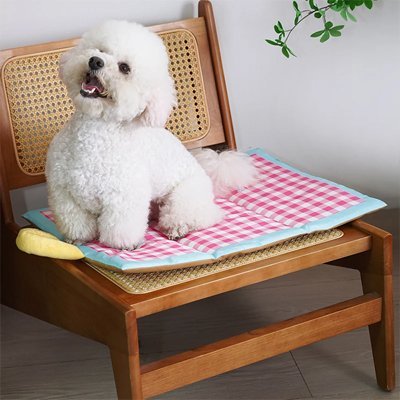tapis rafraichissant chien fraisconfort sur chaise