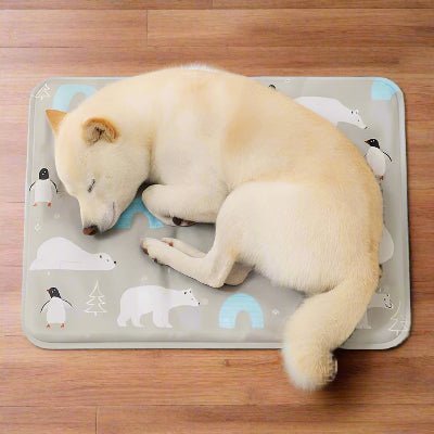 Tapis rafraichissant chien
