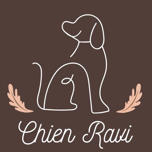 Chien Ravi
