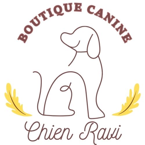 Chien Ravi