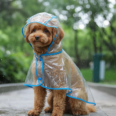 bel imperméable chien clair