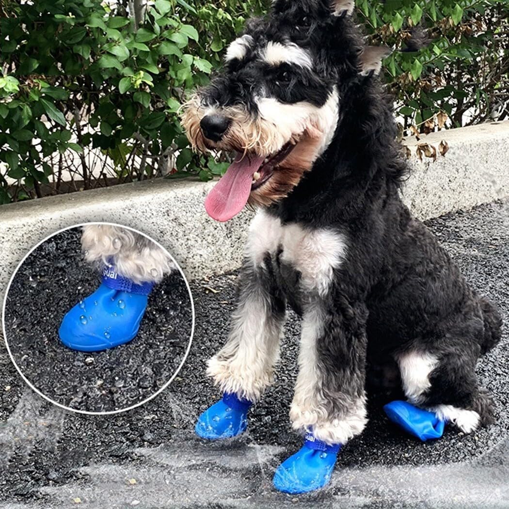 Bottes pour Chien - WaterProofDogBoot™ - Bleu - Chien Ravi