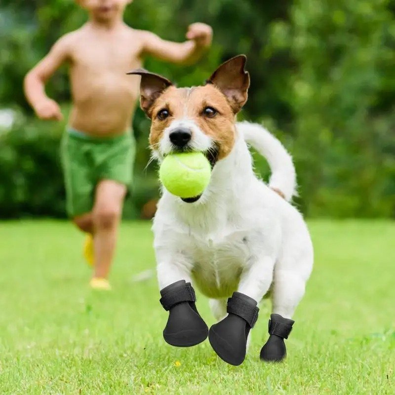 Bottes pour Chien - WaterProofDogBoot™ - Noir - Chien Ravi