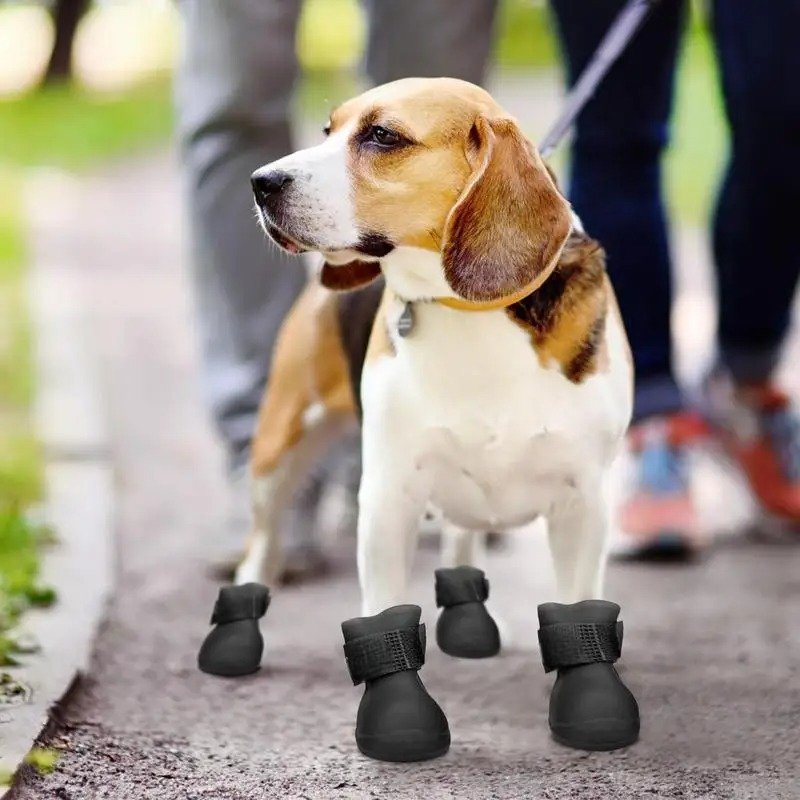 Bottes pour Chien - WaterProofDogBoot™ - Noir - Chien Ravi