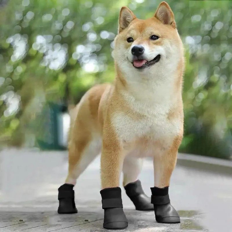 Bottes pour Chien - WaterProofDogBoot™ - Noir - Chien Ravi