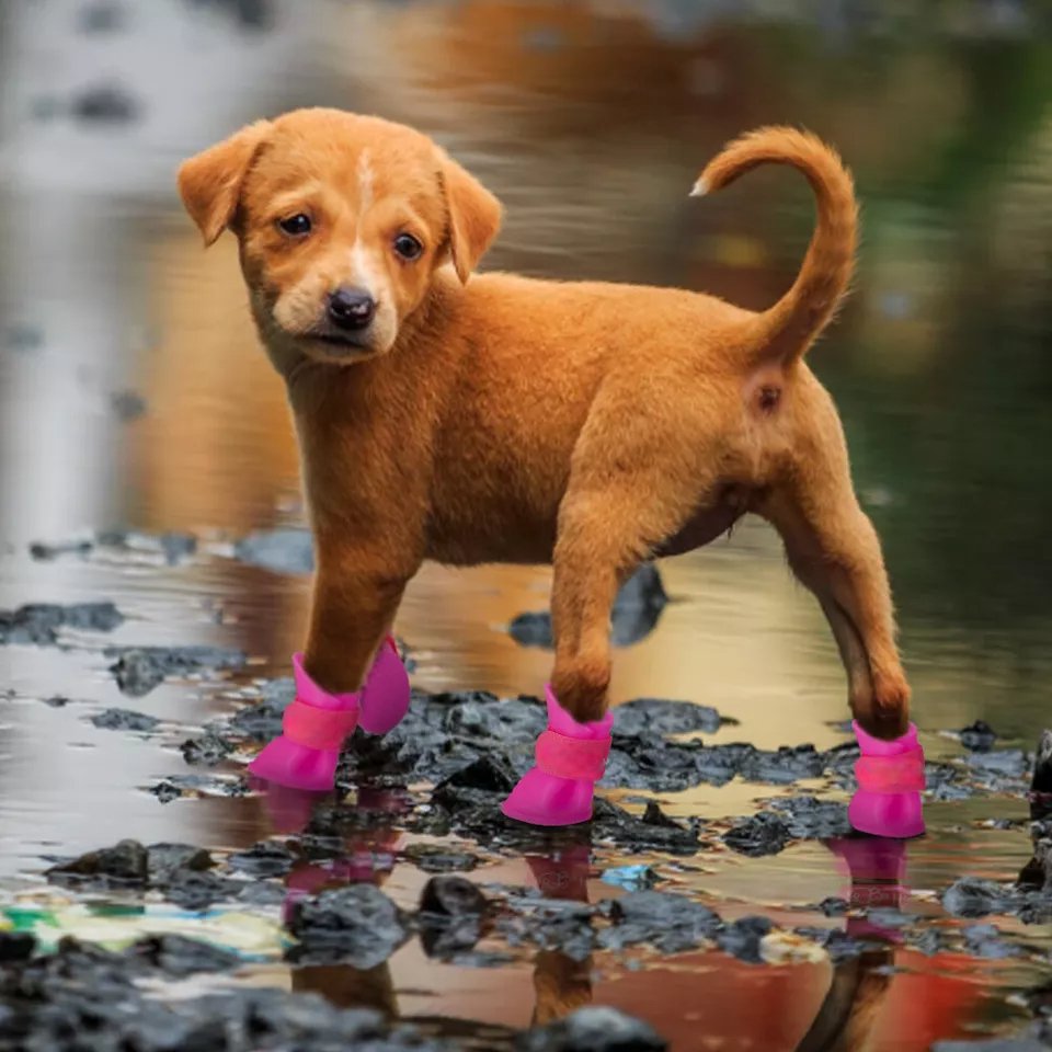 Bottes pour Chien - WaterProofDogBoot™ - Rose - Chien Ravi