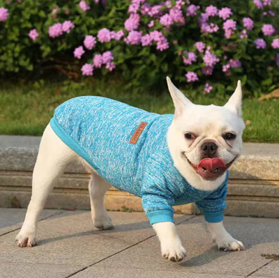 bulldog pull chien classique bleu