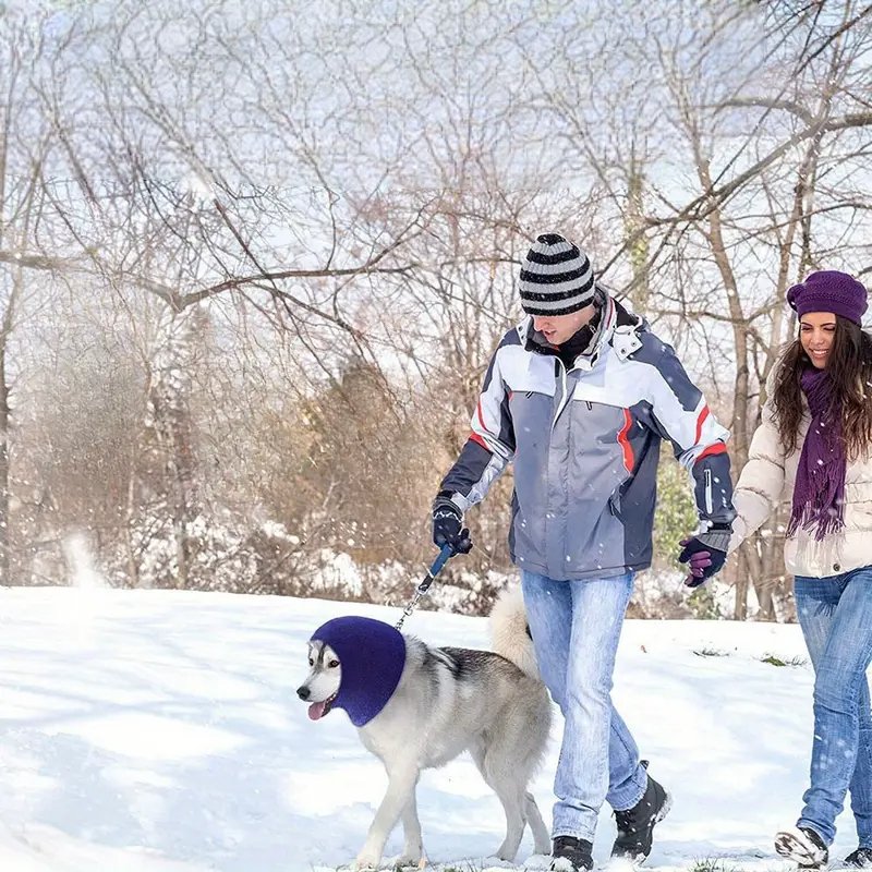 Cache Oreille - DogSoftEarmuffs™ - Bleu royale - Chien Ravi