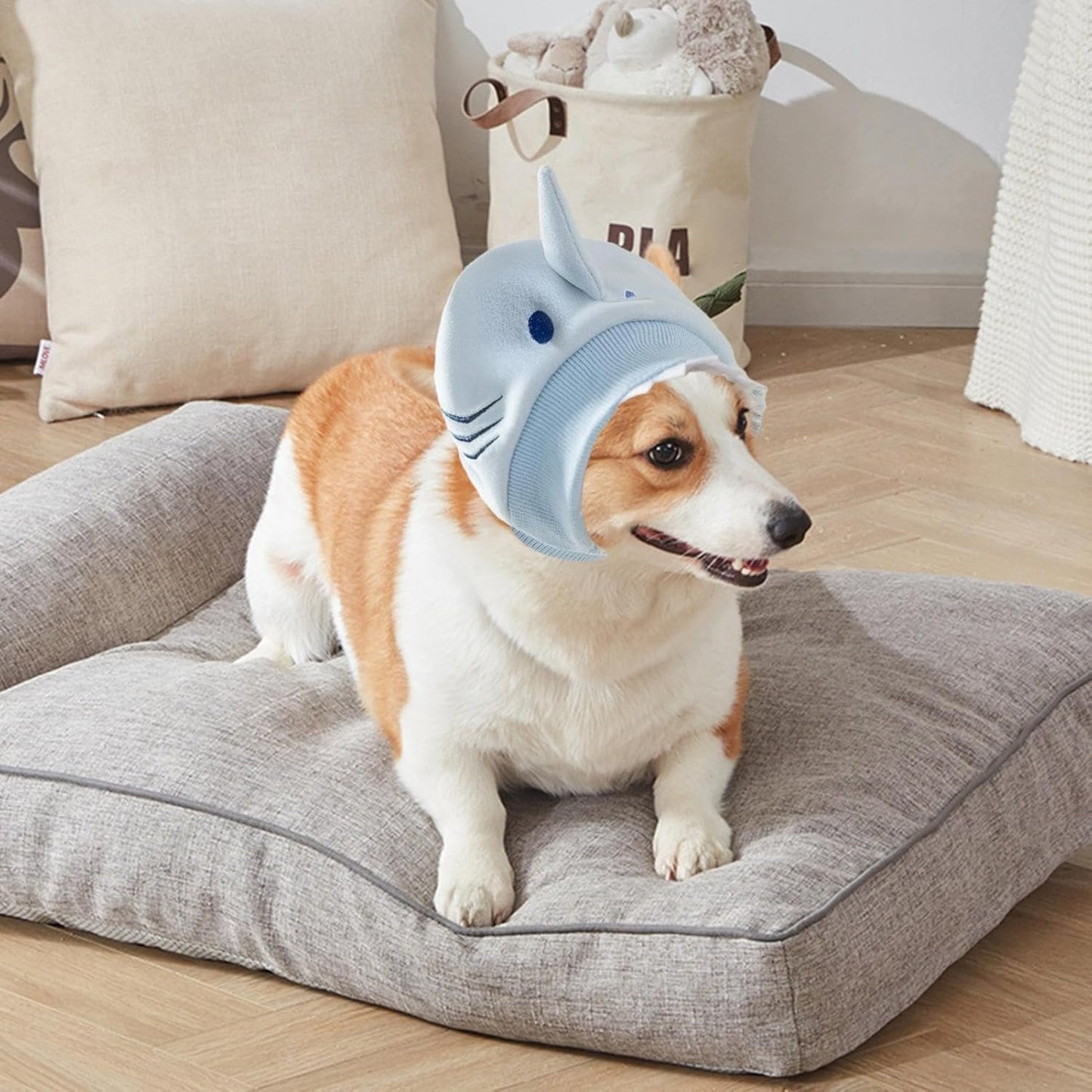 Cache Oreille - DogSoftEarmuffs™ - Requin - Chien Ravi