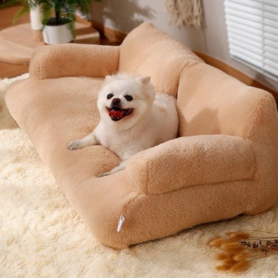 mignon canape chien