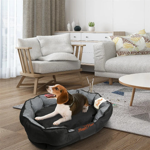 canape chien bingopaw interieur