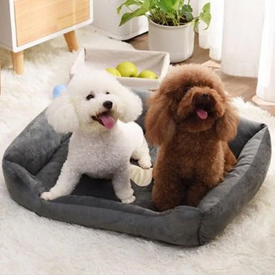 Beau canapé chien Douceur