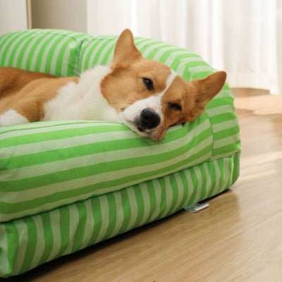 Canapé lit pour chien rayures vertes