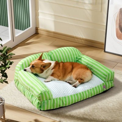 Joli canapé lit pour chien