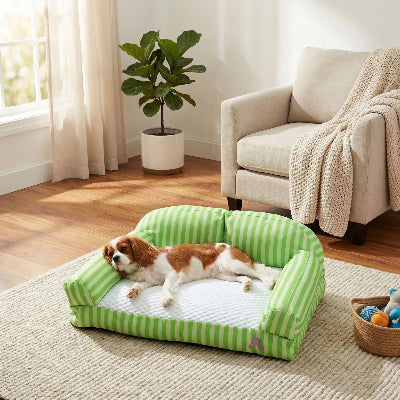 Canapé lit pour chien Cavalier King Charles