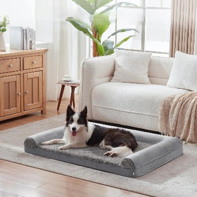 Canapé pour chien Spacieux Berger Autralien