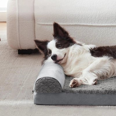 Joli canapé pour chien Spacieux ergonomique