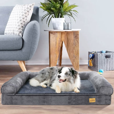 canape pour chien spacieux berge belge