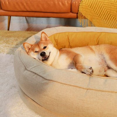 Canapé pour chien XXL douillet