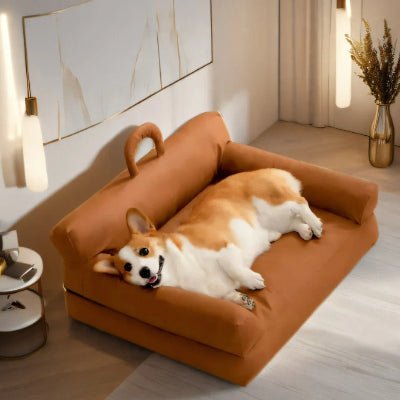 Canapé pour chiens corgi