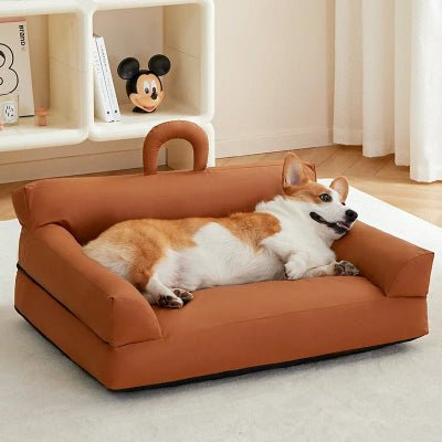 Canapé pour chiens confortable