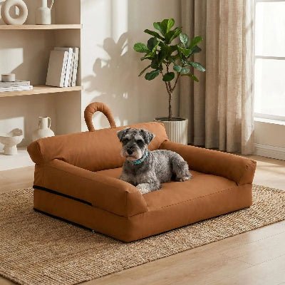 Canapé pour chiens Schnauzer