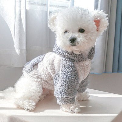 adorable chien manteau hoodie