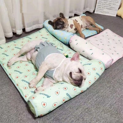chien tapis rafraichissant bulldog
