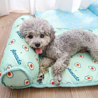 chien tapis rafraichissant caniche