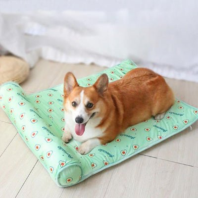 chien tapis rafraichissant corgi