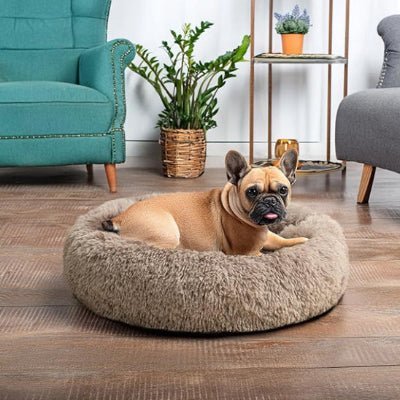 bulldog coussin chien cocoony marron