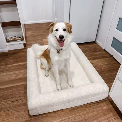 coussin chien rectangle