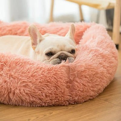 rose coussin pour chien