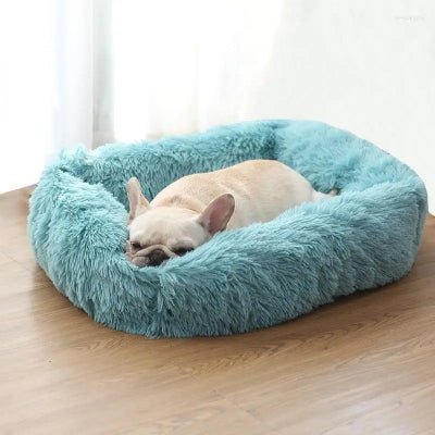 confortable coussin pour chien