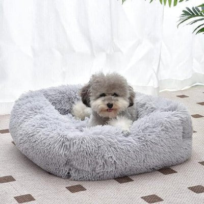 coussin pour chien caniche gris