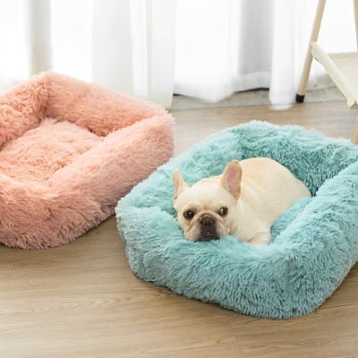 coussin pour chien rose bleu