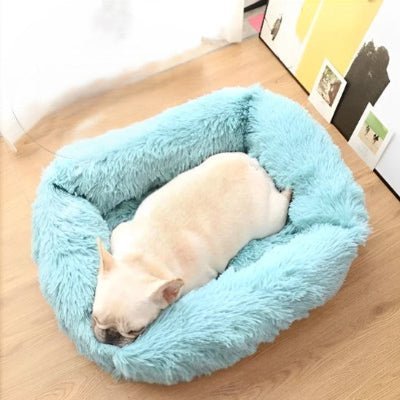 coussin pour chien bulldog sieste
