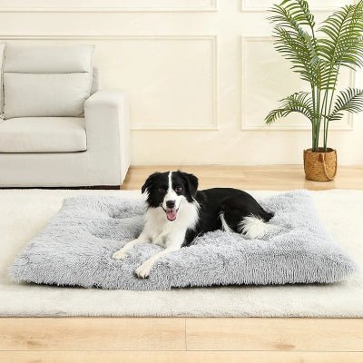 coussins pour chien gris clair
