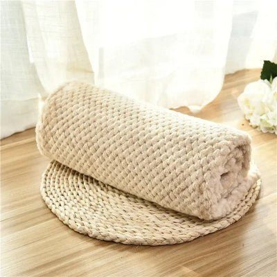 couverture chien beige