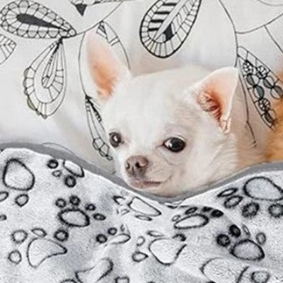 couverture pour chien chihuahua